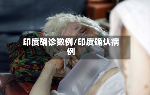 印度确诊数例/印度确认病例-第3张图片