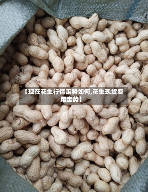 【现在花生行情走势如何,花生现货费用走势】-第3张图片