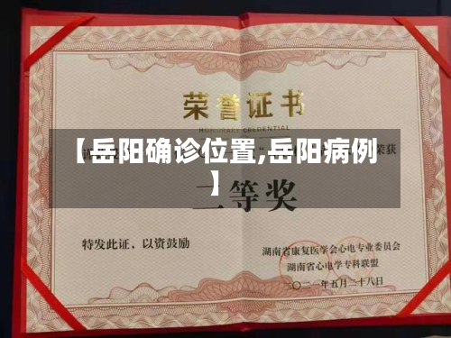 【岳阳确诊位置,岳阳病例】-第2张图片