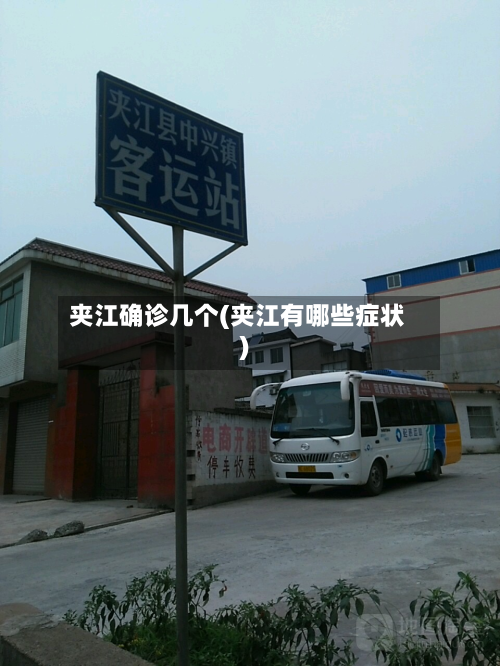 夹江确诊几个(夹江有哪些症状)-第3张图片