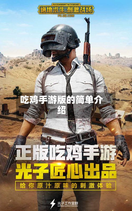 吃鸡手游版的简单介绍