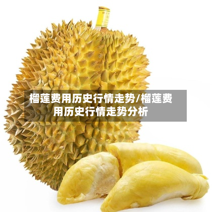 榴莲费用历史行情走势/榴莲费用历史行情走势分析