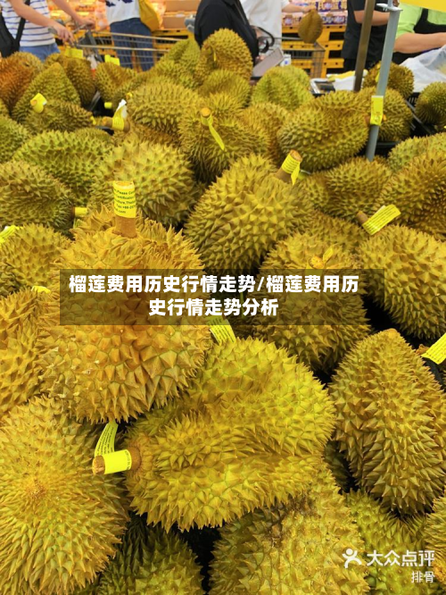 榴莲费用历史行情走势/榴莲费用历史行情走势分析-第2张图片