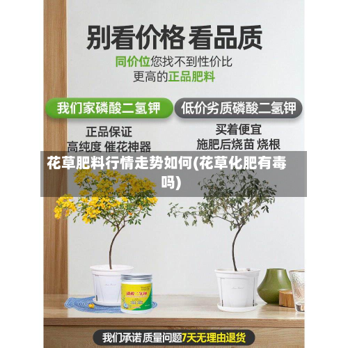 花草肥料行情走势如何(花草化肥有毒吗)