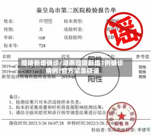 醴陵新增确诊/湖南醴陵新增1例确诊病例?官方紧急辟谣-第2张图片