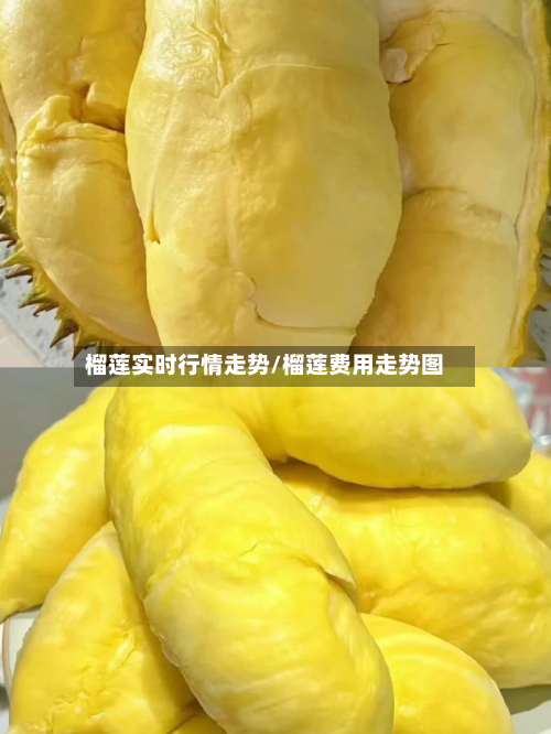 榴莲实时行情走势/榴莲费用走势图-第3张图片