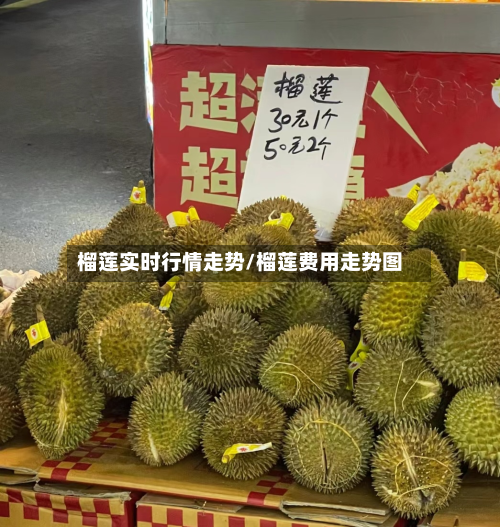 榴莲实时行情走势/榴莲费用走势图-第2张图片