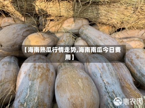【海南熟瓜行情走势,海南南瓜今日费用】-第2张图片