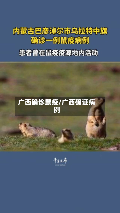 广西确诊鼠疫/广西确证病例-第2张图片