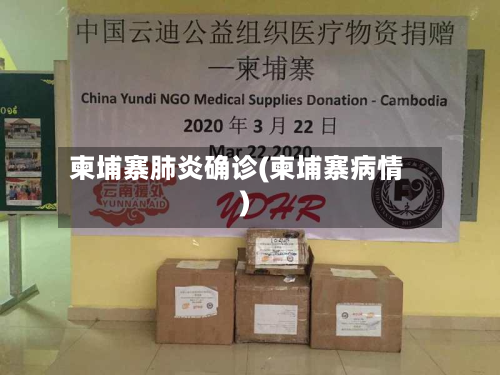 柬埔寨肺炎确诊(柬埔寨病情)