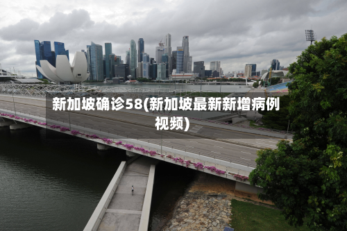 新加坡确诊58(新加坡最新新增病例 视频)