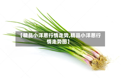 【精品小洋葱行情走势,精品小洋葱行情走势图】-第3张图片