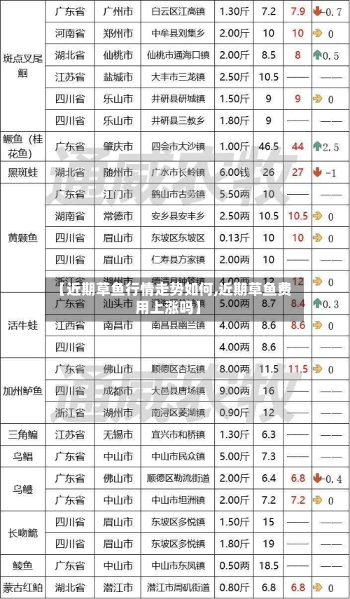 【近期草鱼行情走势如何,近期草鱼费用上涨吗】-第2张图片