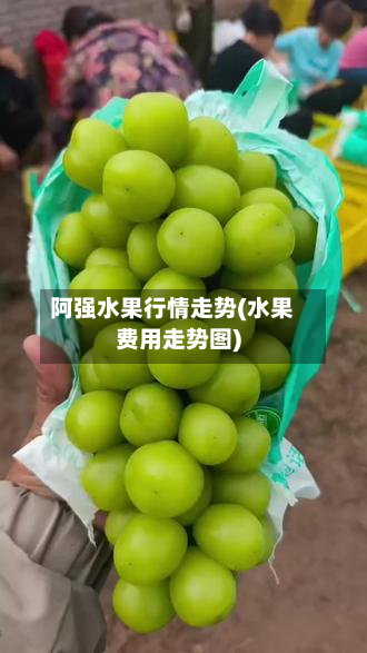 阿强水果行情走势(水果费用走势图)-第2张图片