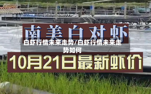 白虾行情未来走势/白虾行情未来走势如何