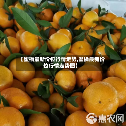 【蜜橘最新价位行情走势,蜜橘最新价位行情走势图】