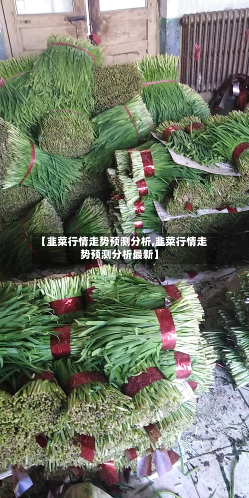 【韭菜行情走势预测分析,韭菜行情走势预测分析最新】