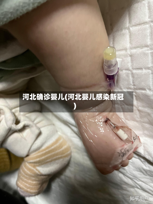 河北确诊婴儿(河北婴儿感染新冠)