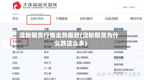 淀粉期货行情走势最新(淀粉期货为什么跌这么多)-第2张图片