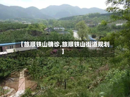 【旅顺铁山确诊,旅顺铁山街道规划】-第3张图片