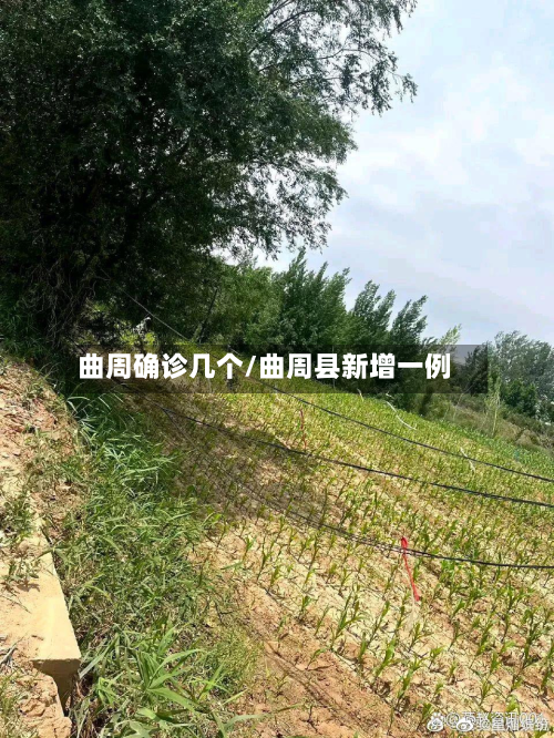 曲周确诊几个/曲周县新增一例