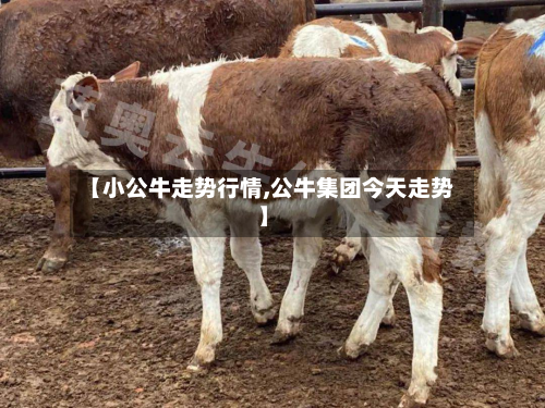 【小公牛走势行情,公牛集团今天走势】