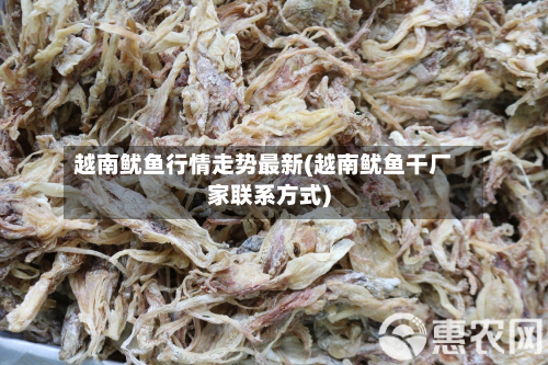 越南鱿鱼行情走势最新(越南鱿鱼干厂家联系方式)