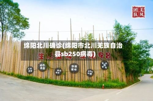 绵阳北川确诊(绵阳市北川羌族自治县sb250病毒)-第3张图片