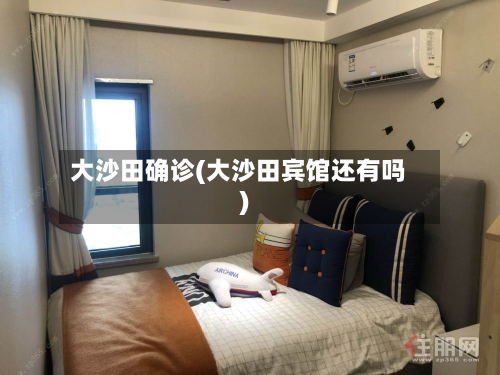 大沙田确诊(大沙田宾馆还有吗)-第3张图片