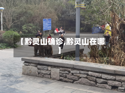 【黔灵山确诊,黔灵山在哪】-第3张图片
