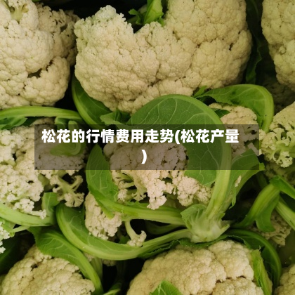 松花的行情费用走势(松花产量)