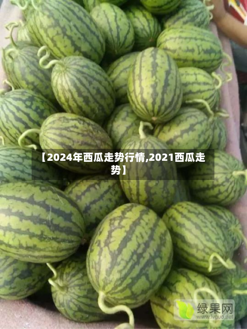 【2024年西瓜走势行情,2021西瓜走势】