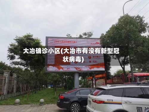 大冶确诊小区(大冶市有没有新型冠状病毒)-第2张图片
