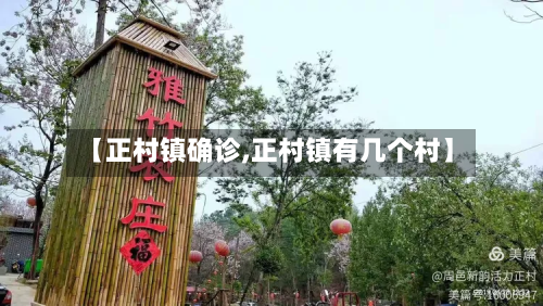 【正村镇确诊,正村镇有几个村】