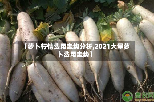 【萝卜行情费用走势分析,2021大量萝卜费用走势】-第2张图片