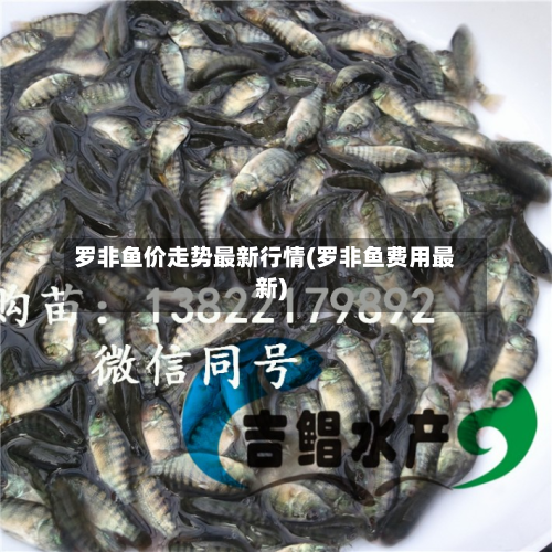 罗非鱼价走势最新行情(罗非鱼费用最新)-第2张图片