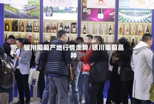 银川葡萄产地行情走势/银川葡萄品种-第3张图片
