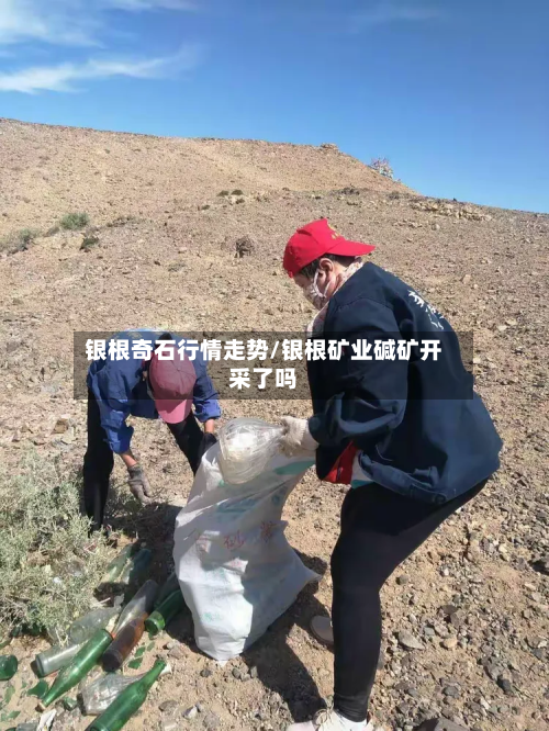银根奇石行情走势/银根矿业碱矿开采了吗-第3张图片