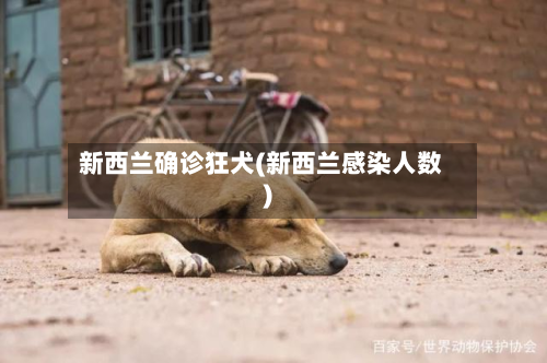 新西兰确诊狂犬(新西兰感染人数)