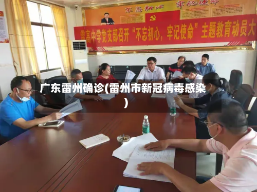 广东雷州确诊(雷州市新冠病毒感染)-第2张图片