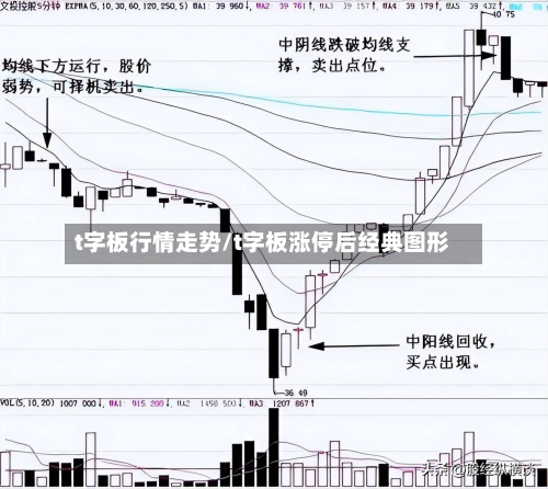 t字板行情走势/t字板涨停后经典图形-第3张图片