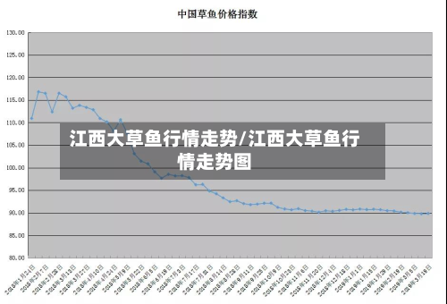 江西大草鱼行情走势/江西大草鱼行情走势图