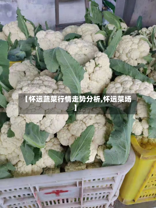 【怀远蔬菜行情走势分析,怀远菜场】-第3张图片