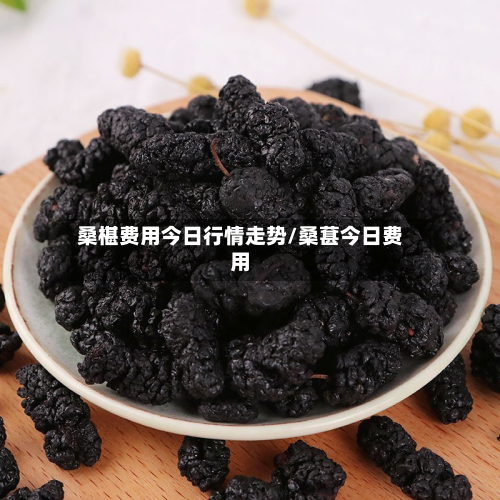 桑椹费用今日行情走势/桑葚今日费用