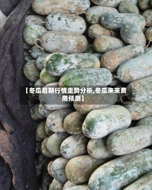 【冬瓜后期行情走势分析,冬瓜未来费用预测】-第3张图片