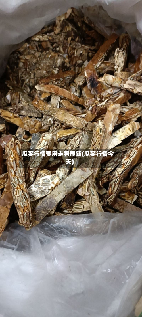 瓜蒌行情费用走势最新(瓜蒌行情今天)