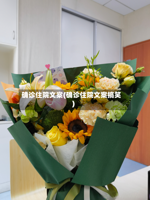 确诊住院文案(确诊住院文案搞笑)