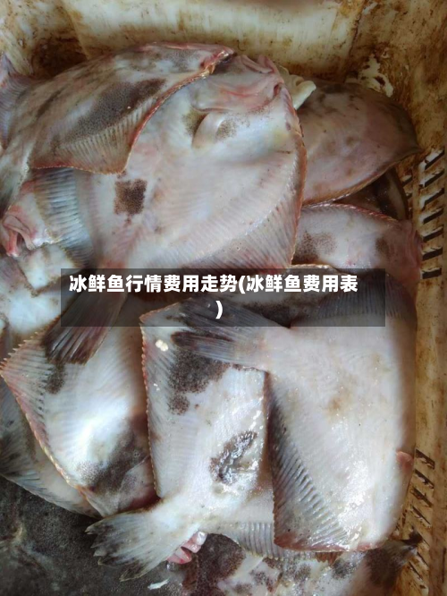 冰鲜鱼行情费用走势(冰鲜鱼费用表)-第3张图片