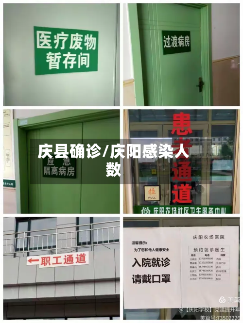 庆县确诊/庆阳感染人数