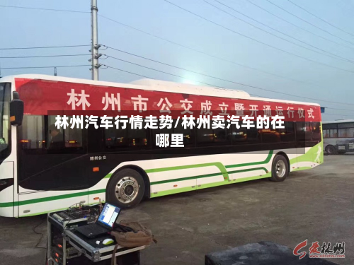 林州汽车行情走势/林州卖汽车的在哪里-第2张图片